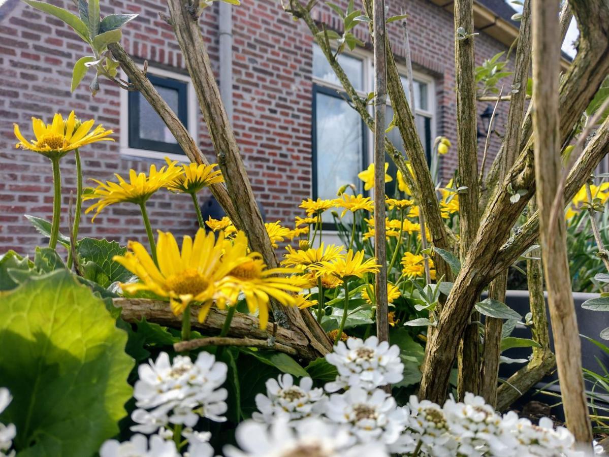 Grytmanshoeve, Vakantiehuis Met Glamping Niawier Exterior foto